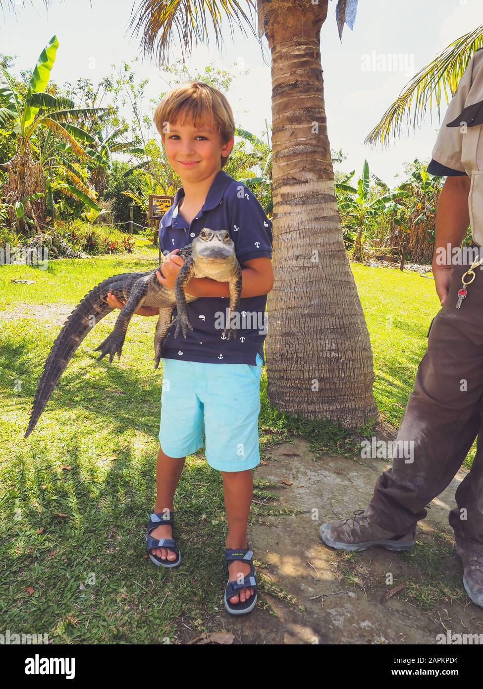 Vertical shot of a lovely kid holding an alligator near a palm tree Stock Photo