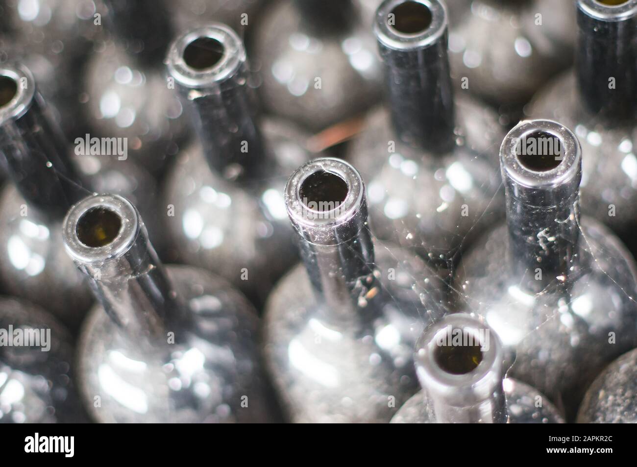 many old wine bottles Stock Photo