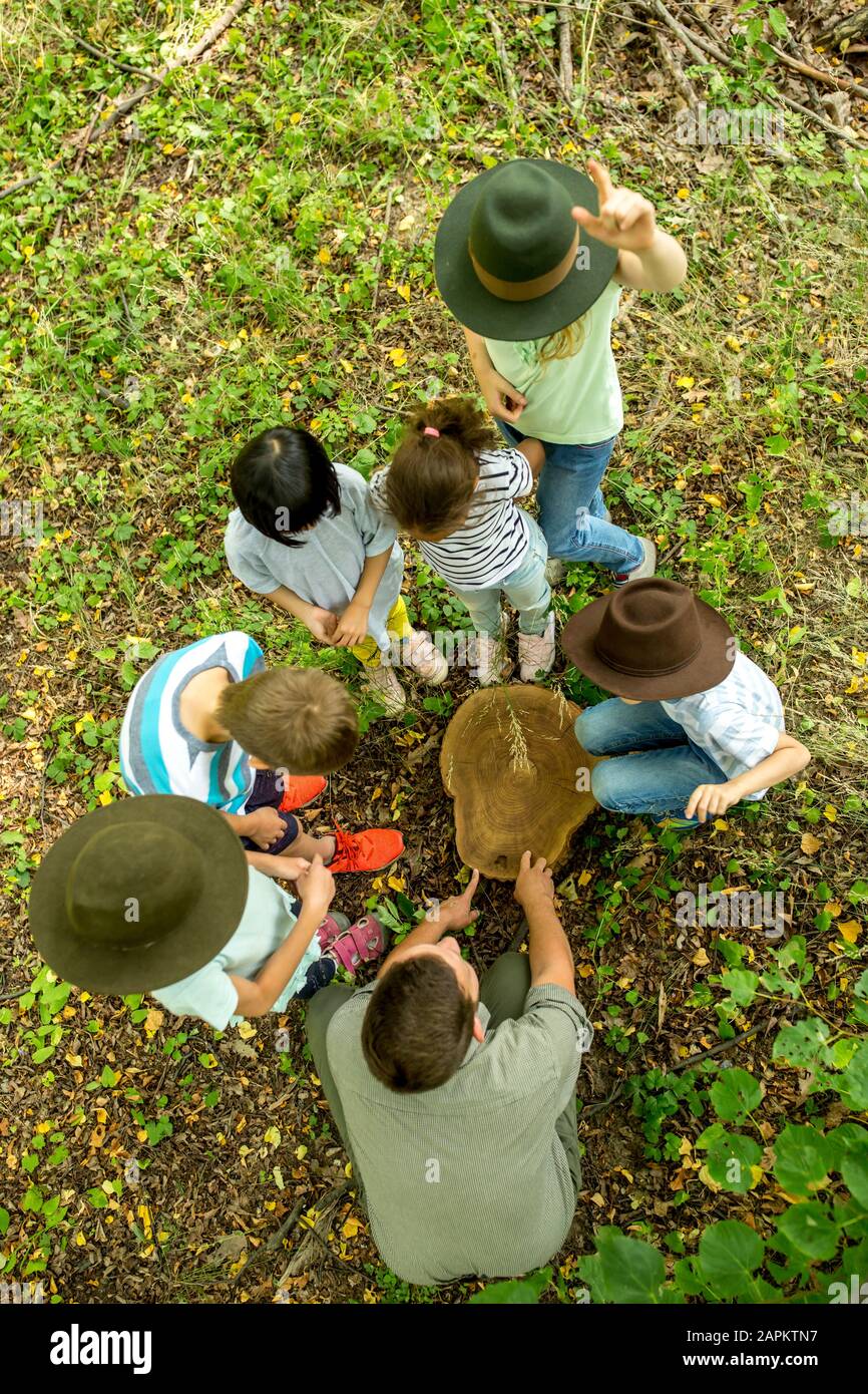 Tree Trunks Kids School children examining annual rings of a tree trunk Stock Photo - Alamy