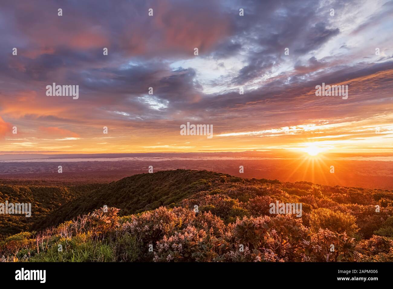 New Zealand, Dramatic sunrise over Tongariro National Park Stock Photo