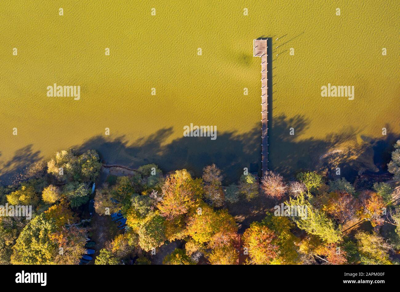 Herbststimmung am Starnberger See bei St. Heinrich, Luftbild, Fünfseenland, Oberbayern, Bayern, Deutschland Stock Photo