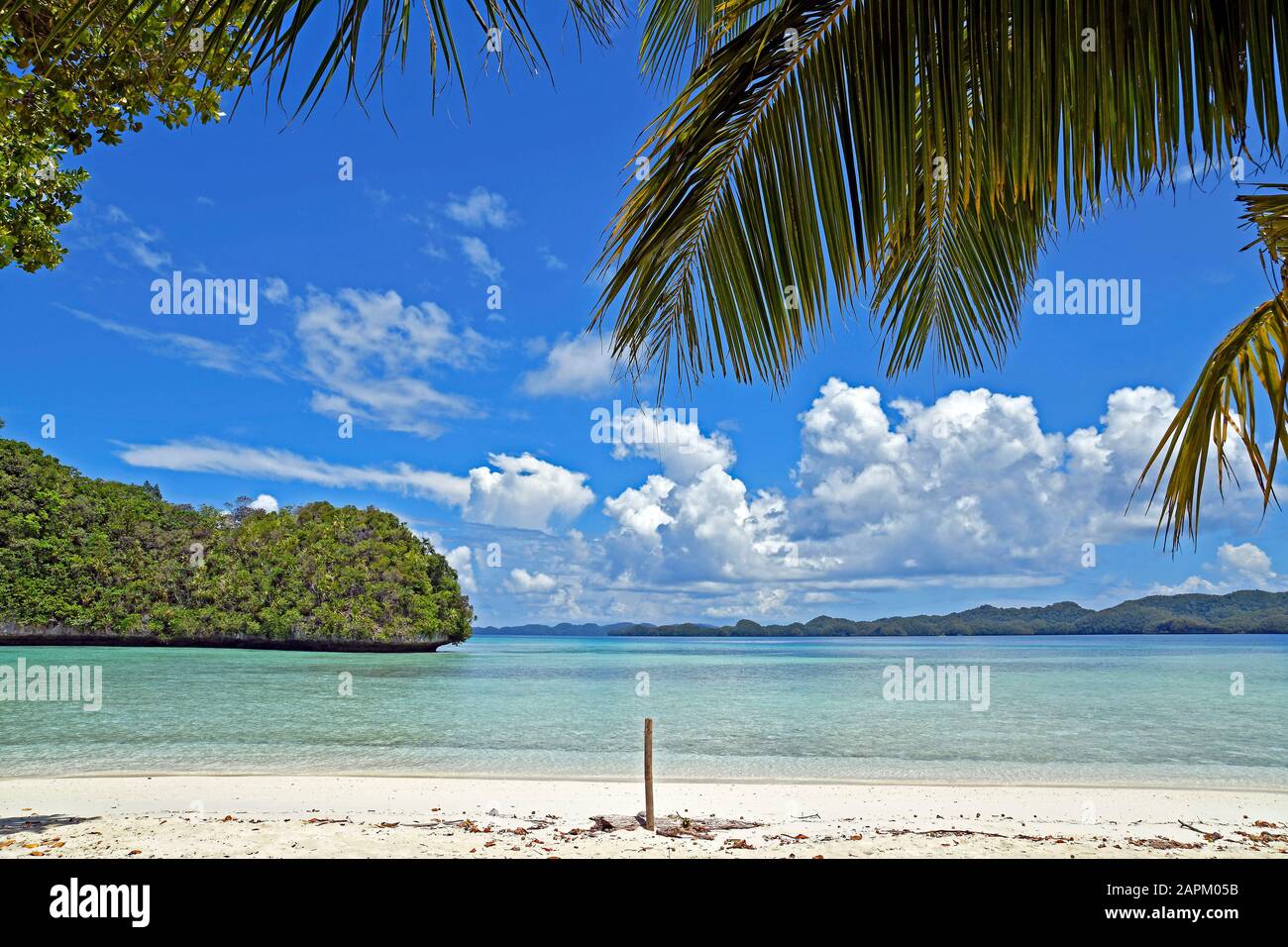 Lovely beach at the Rock island, Palau Stock Photo