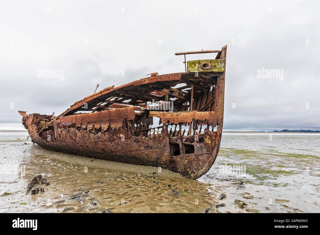 New Zealand, Tasman District, Motueka, Rusty Janie Seddon shipwreck Stock Photo