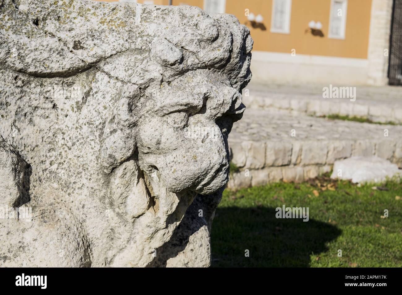 Closeup shot of an old sculpture of an animal head on a sunny day Stock Photo