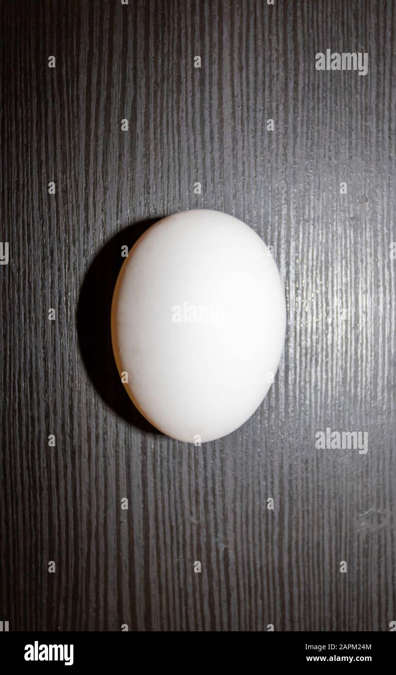 Egg on black grainy background Stock Photo