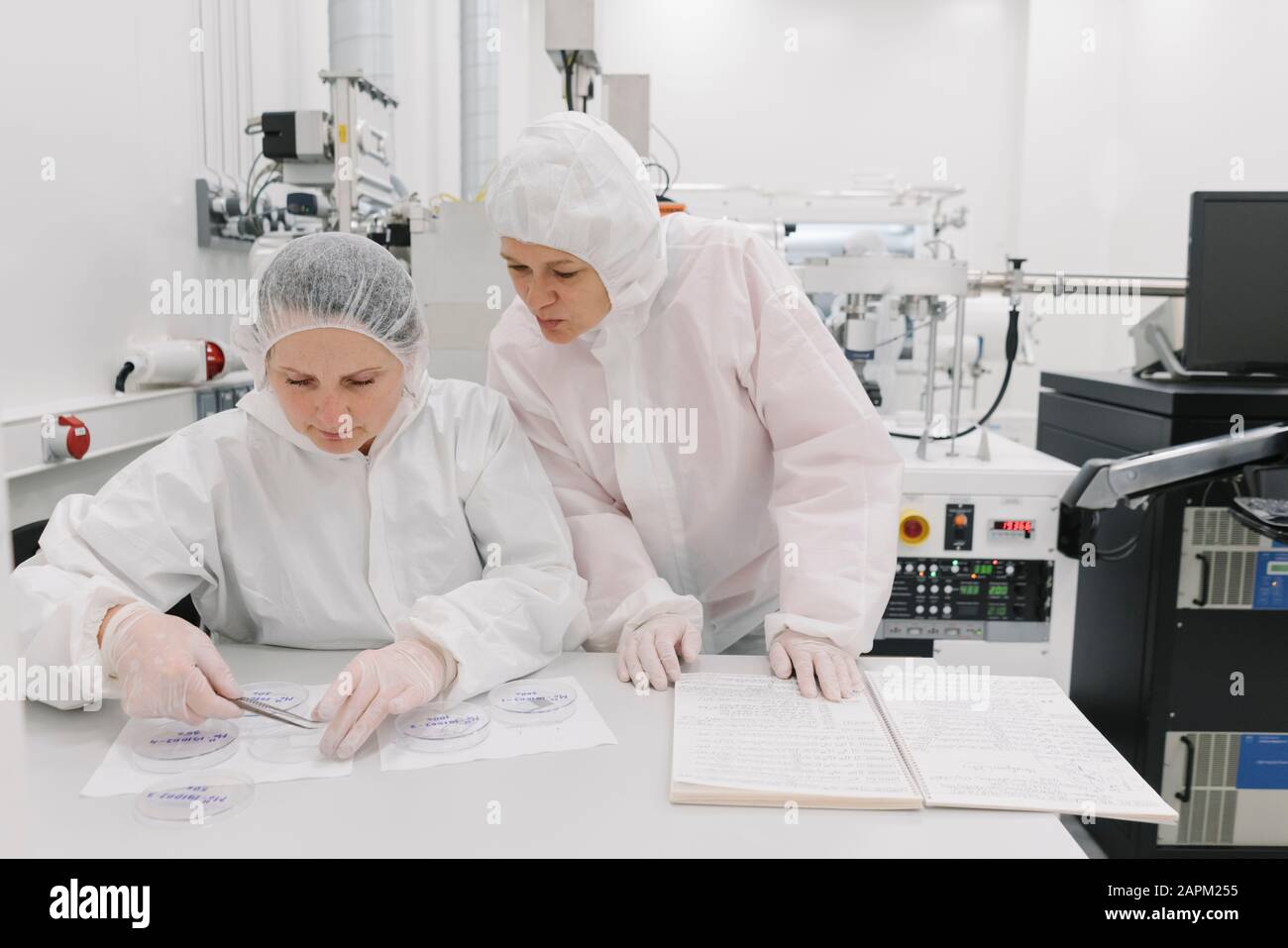 Two scientists working in laboratory Stock Photo