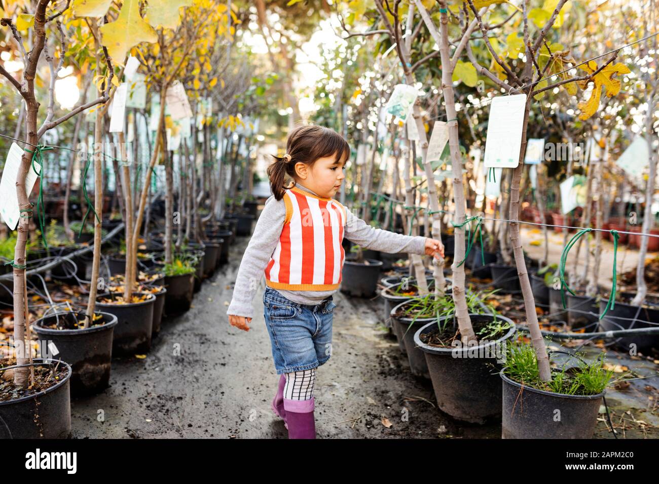 Little girl exploring potted trees in plant nursery Stock Photo Alamy