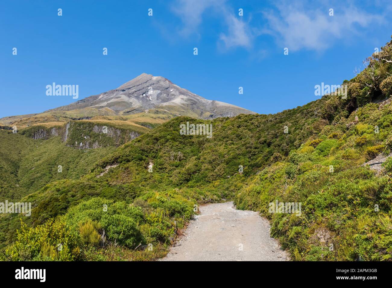 New Zealand, Scenic view of Mount Taranaki volcano and surrounding forest in spring Stock Photo