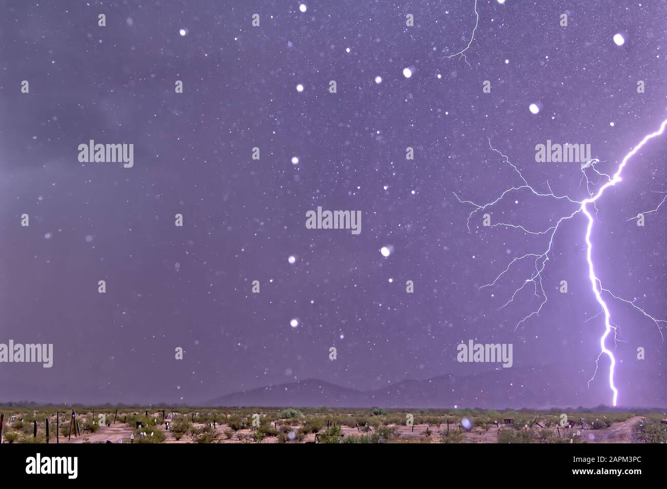 A lightning bolt striking only 1000 feet away. The white dots in the image are rain drops frozen in midair by the strobe light effect of the lightning Stock Photo