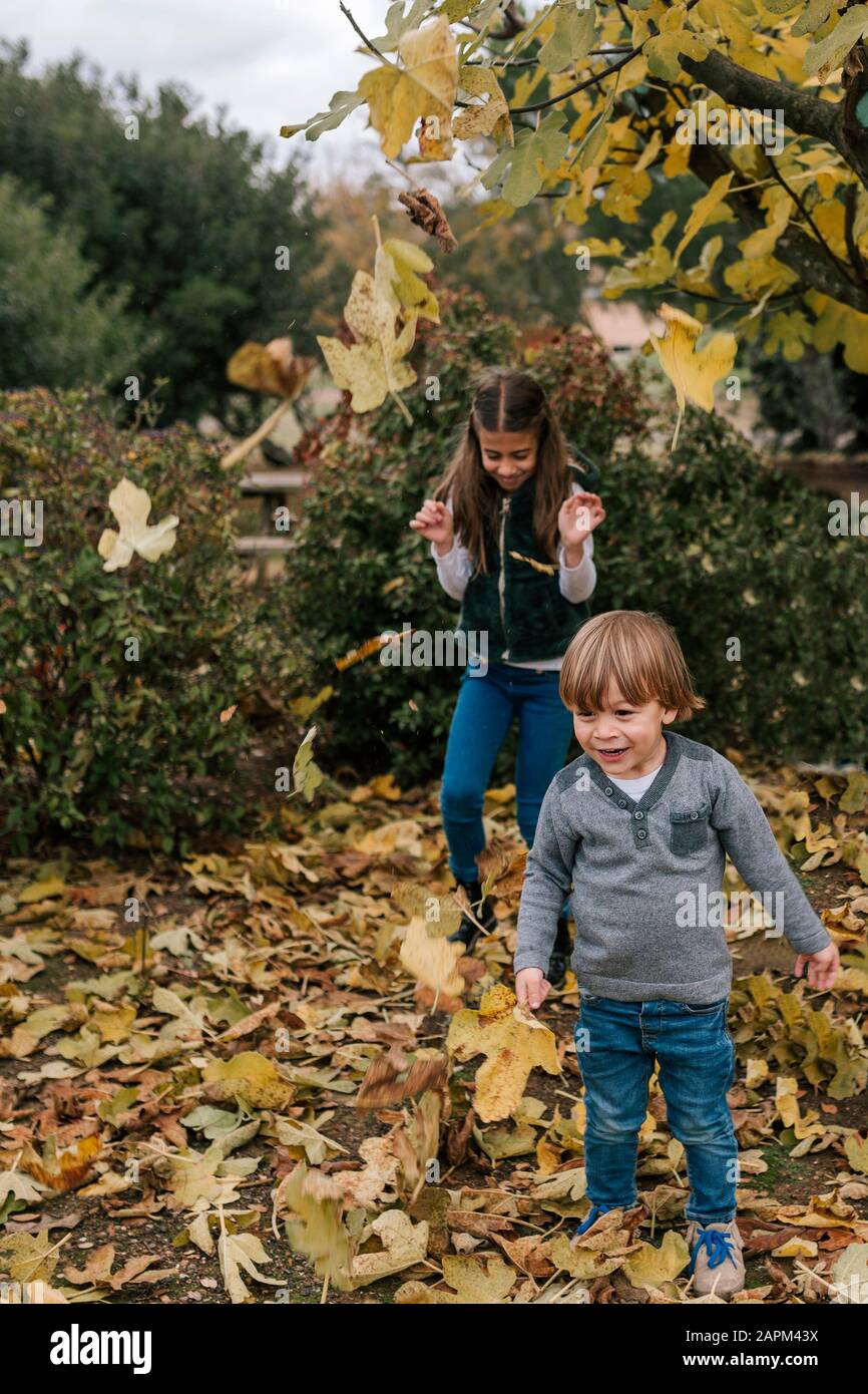 Little boy and girl playing with leaves in autumn Stock Photo