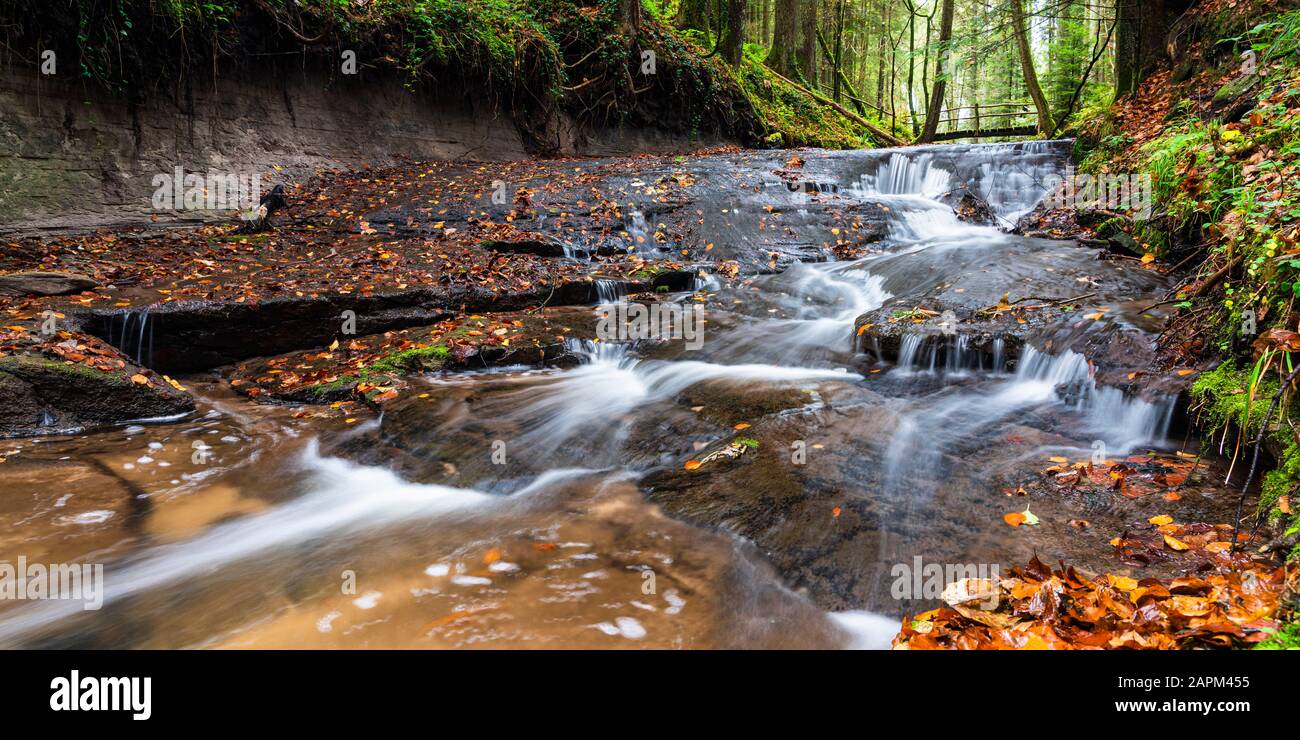 Germany, Baden-Wurttemberg, Clear stream flowing in Swabian-Franconian Forest Stock Photo