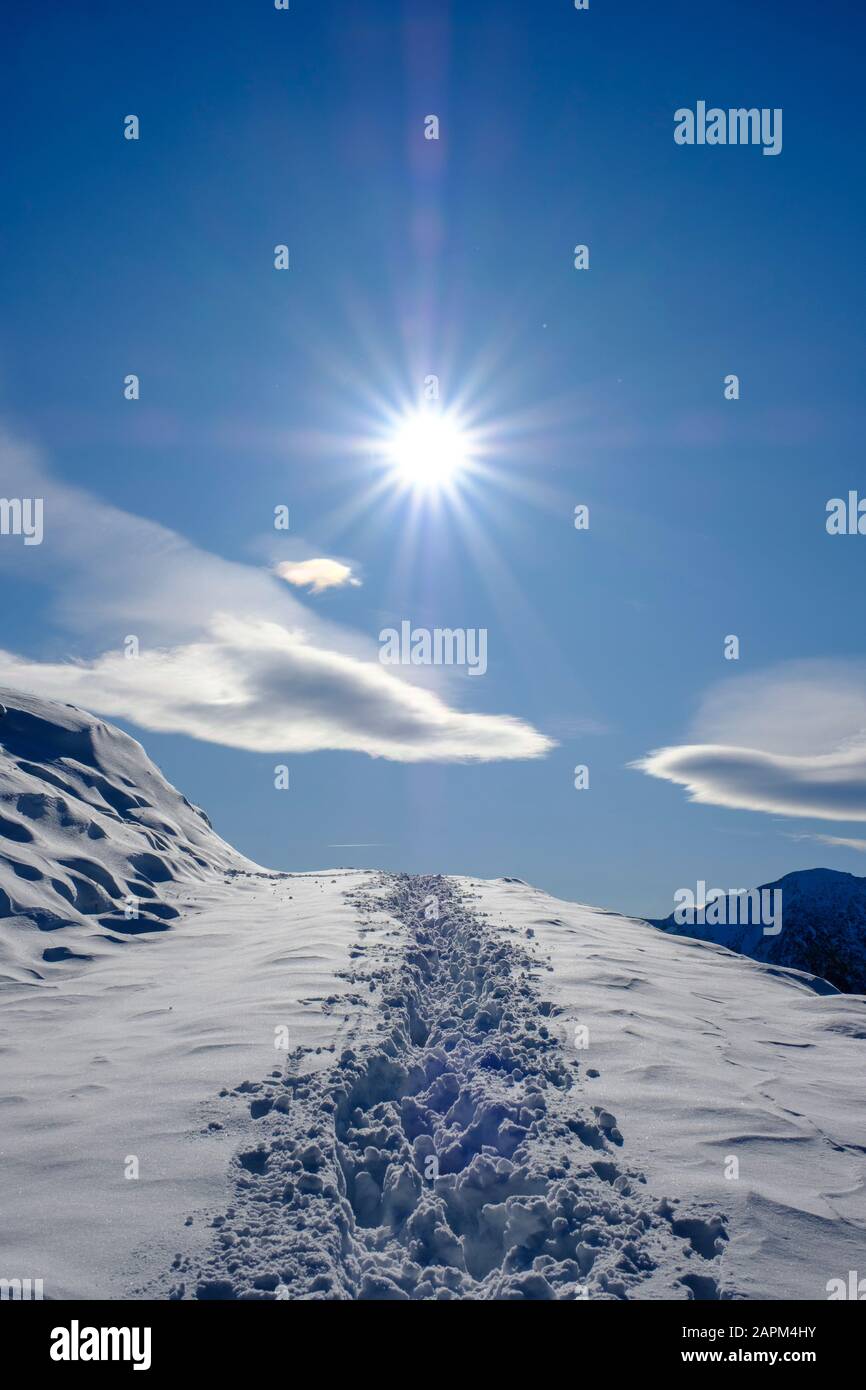 Sonne scheint, Spuren im Schnee, Winter an den Spitzingalmen, Wendelsteingebiet, Mangfallgebirge, bei Bayrischzell, Oberbayern, Bayern, Deutschland Stock Photo