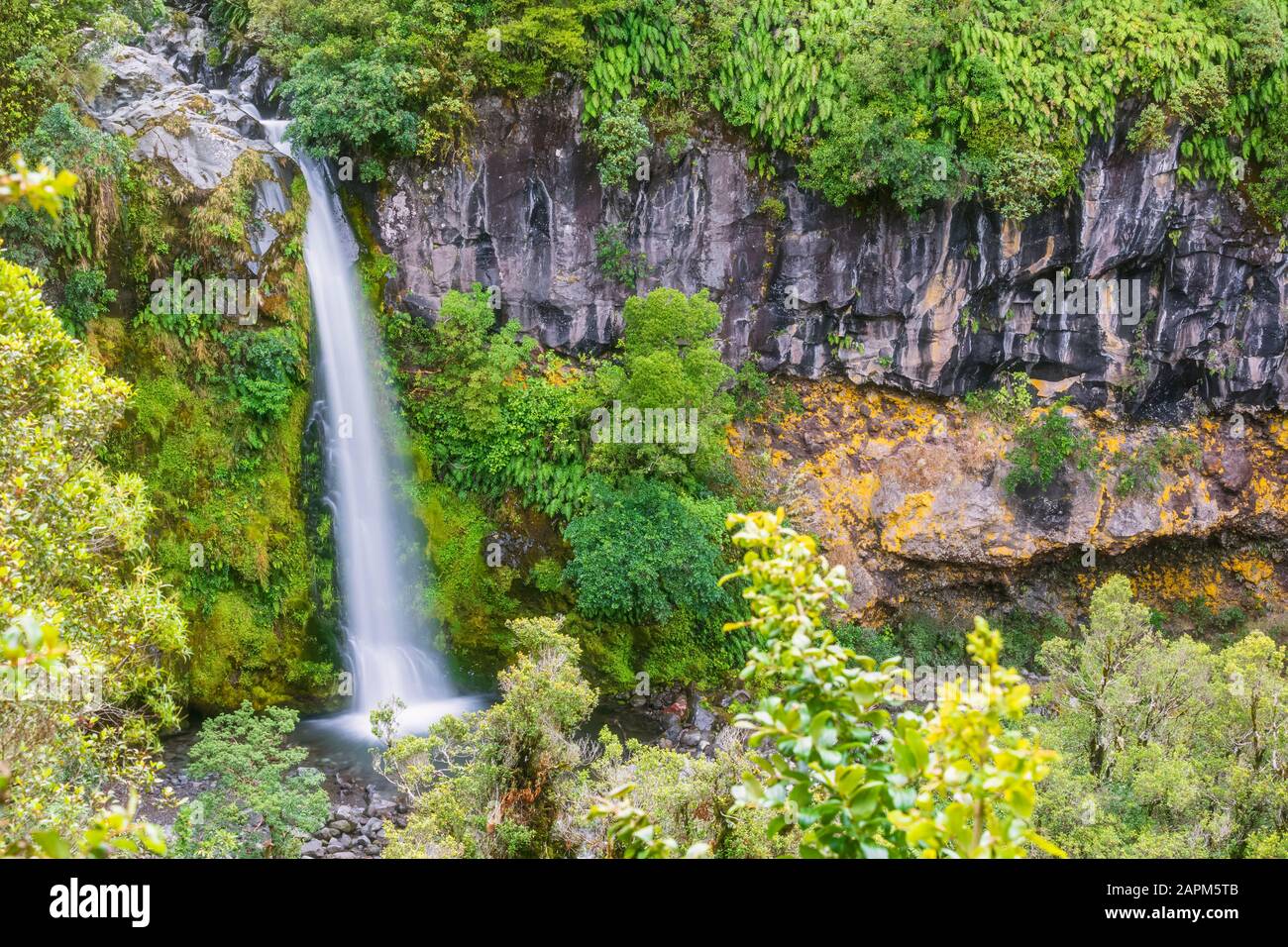 New Zealand, Dawson Falls splashing in Egmont National Park Stock Photo ...