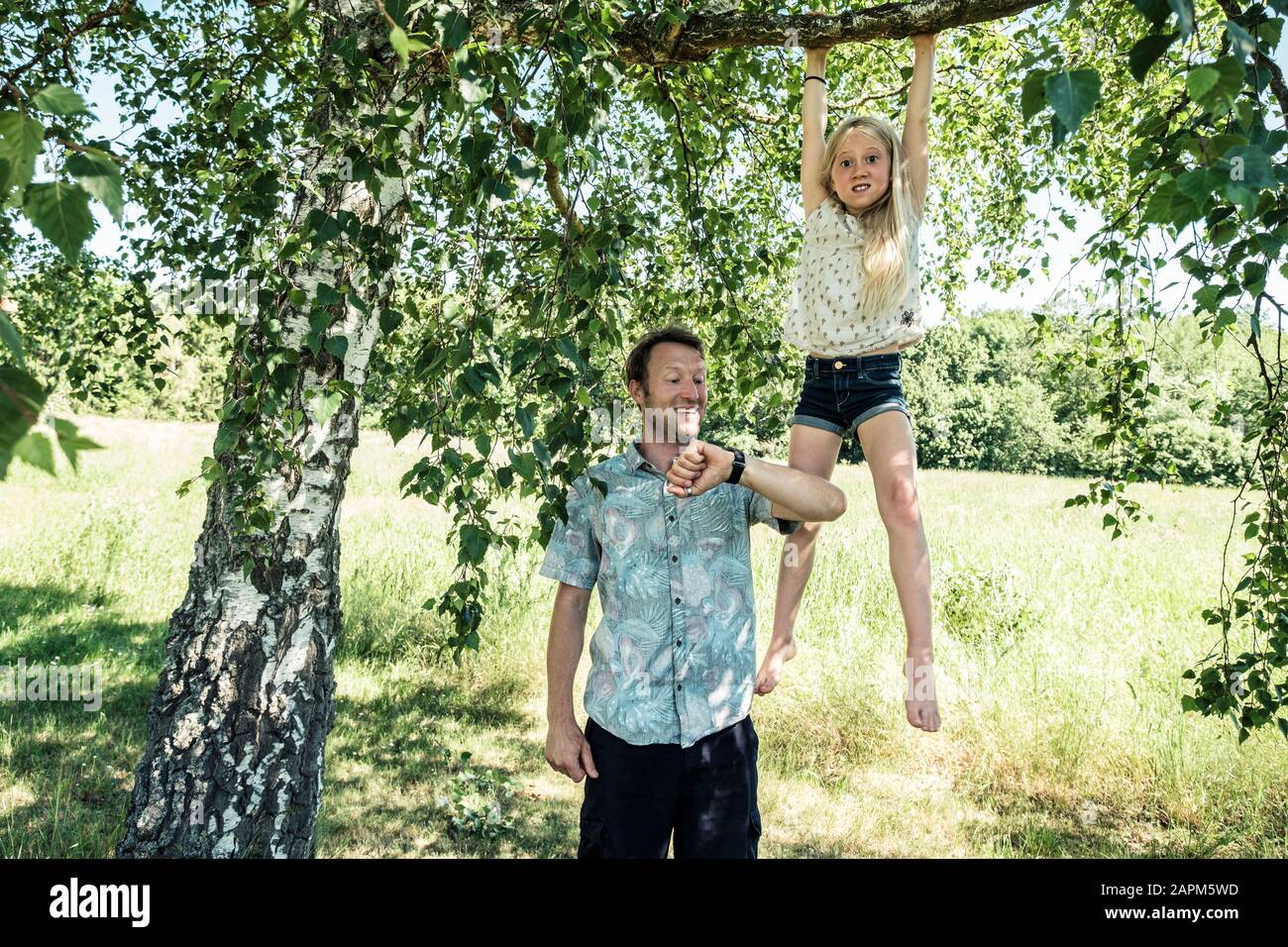 Father checking the time with daughter hanging on a branch of a birch tree Stock Photo