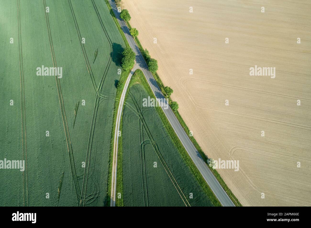 Aerial view of road fork in agricultural fields. Saale-Orla-Kreis, Thuringia, Germany, Europe. Stock Photo