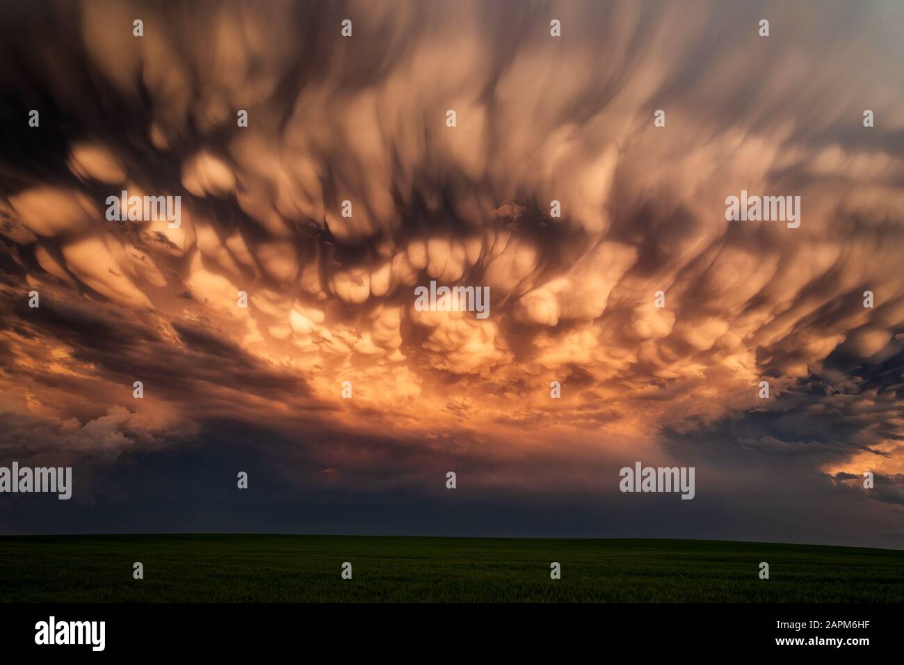 Scenic landscape with dramatic mammatus clouds in the sky behind a thunderstorm at sunset near Limon, Colorado Stock Photo