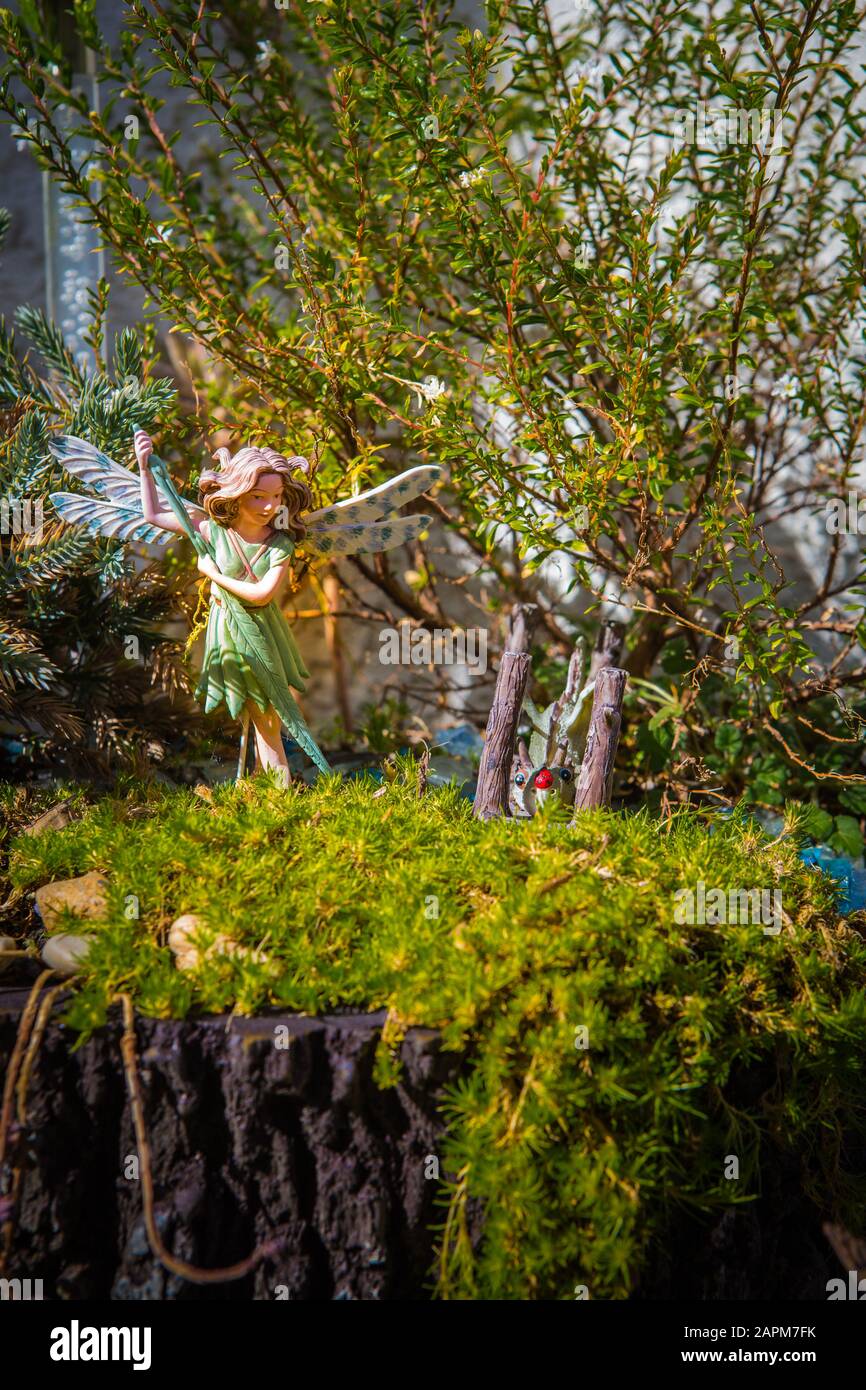 Fairy gardens hires stock photography and images Alamy