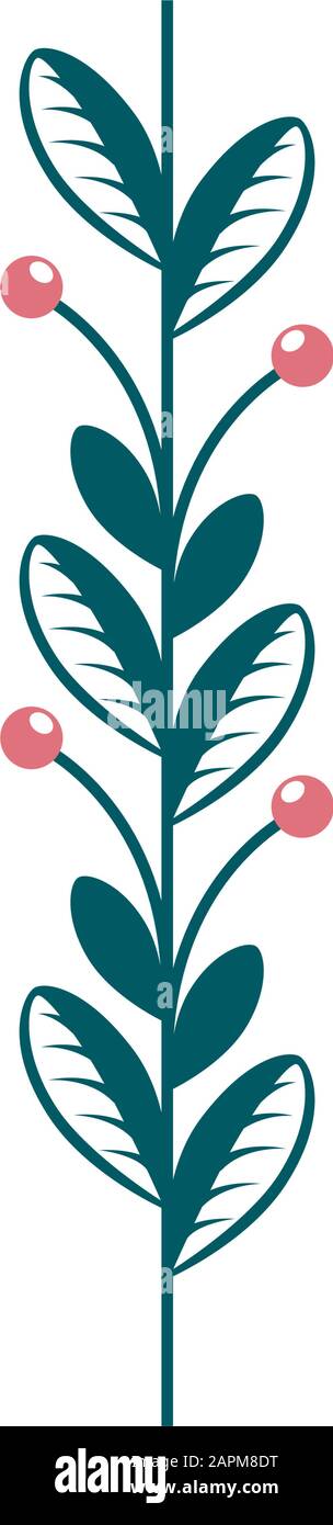 branch with leafs nature and seeds Stock Vector Image & Art - Alamy