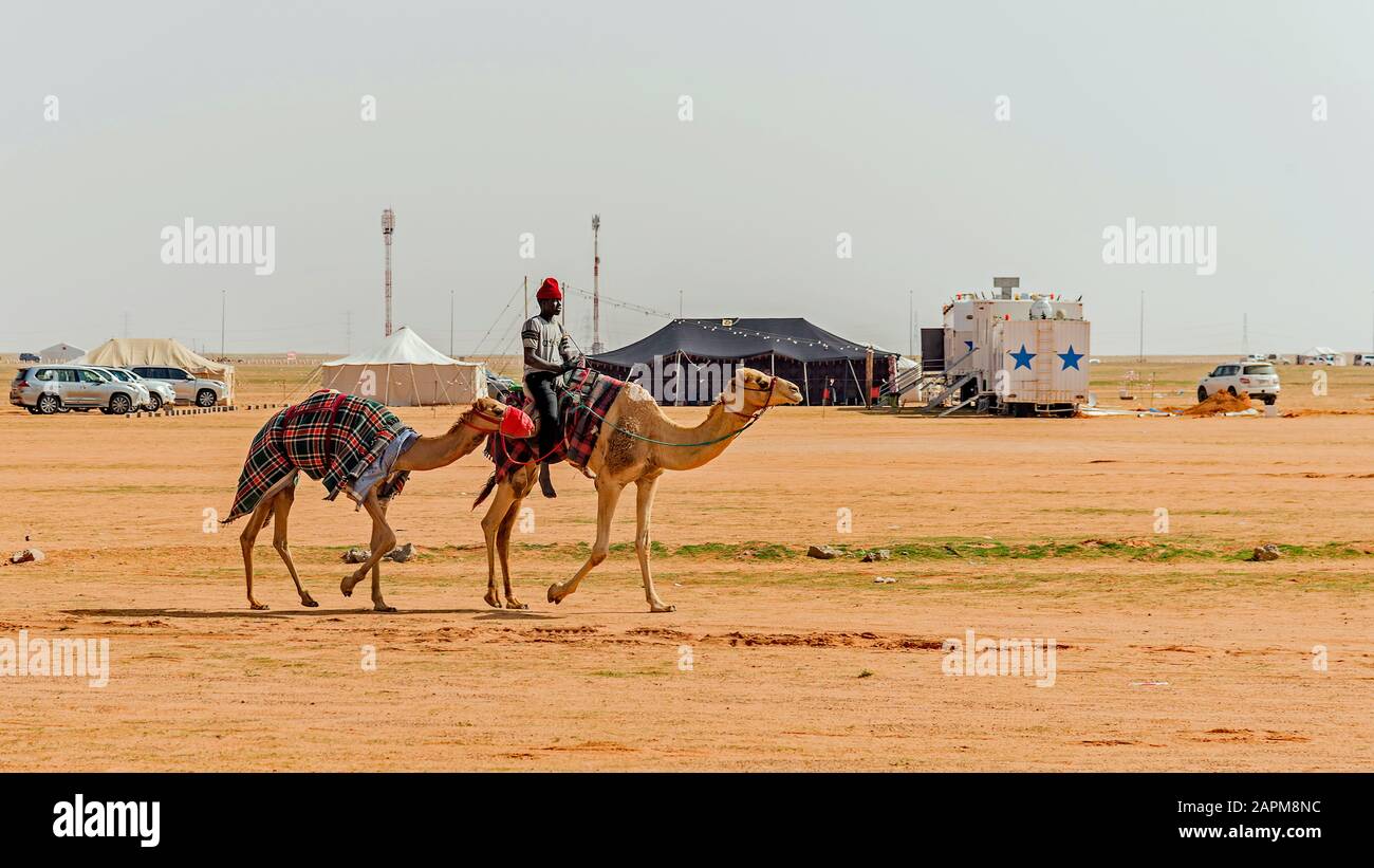 Camel and rider views Stock Photo - Alamy
