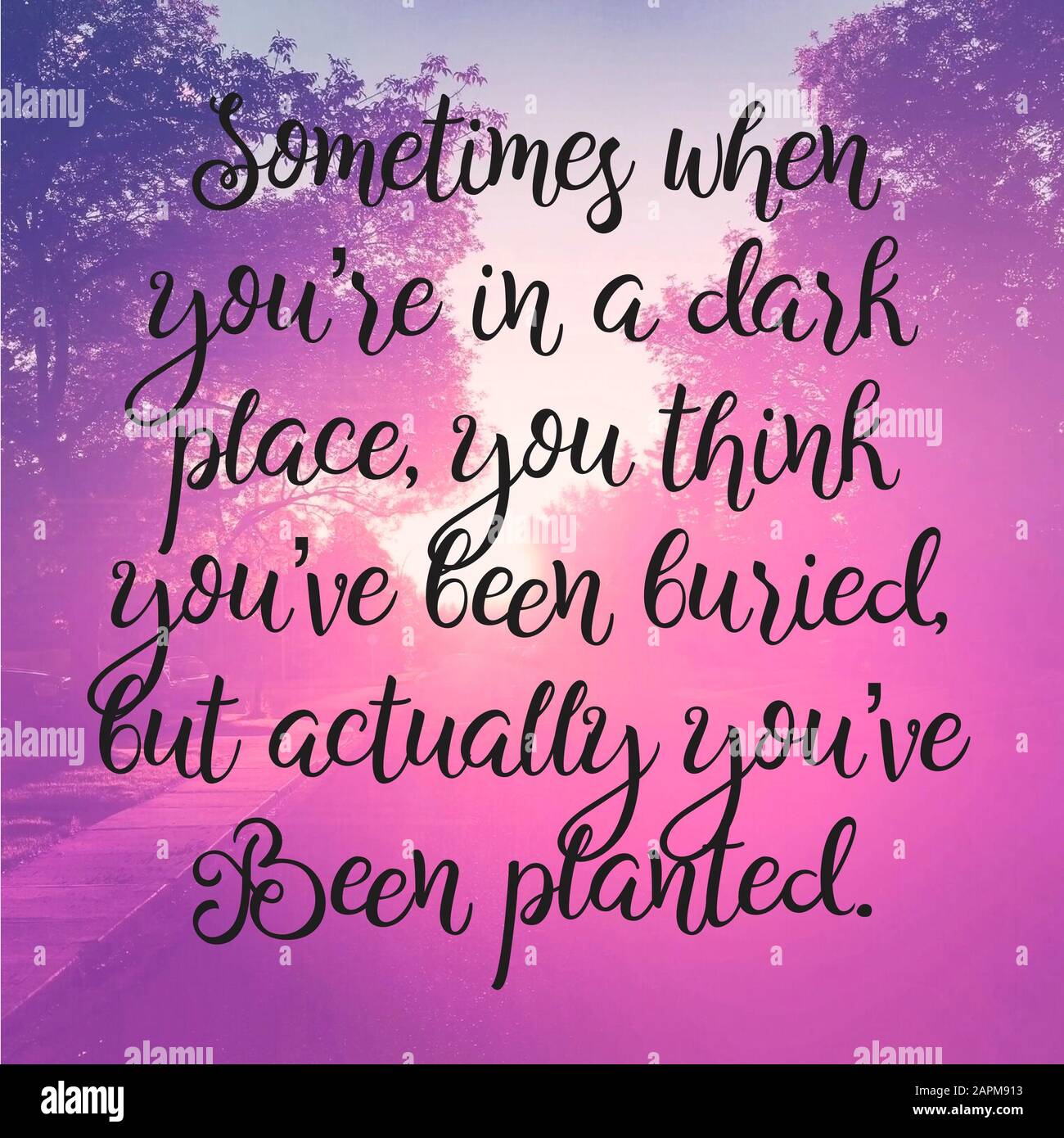 Quote Sometimes when you're in a dark place, you think you've been