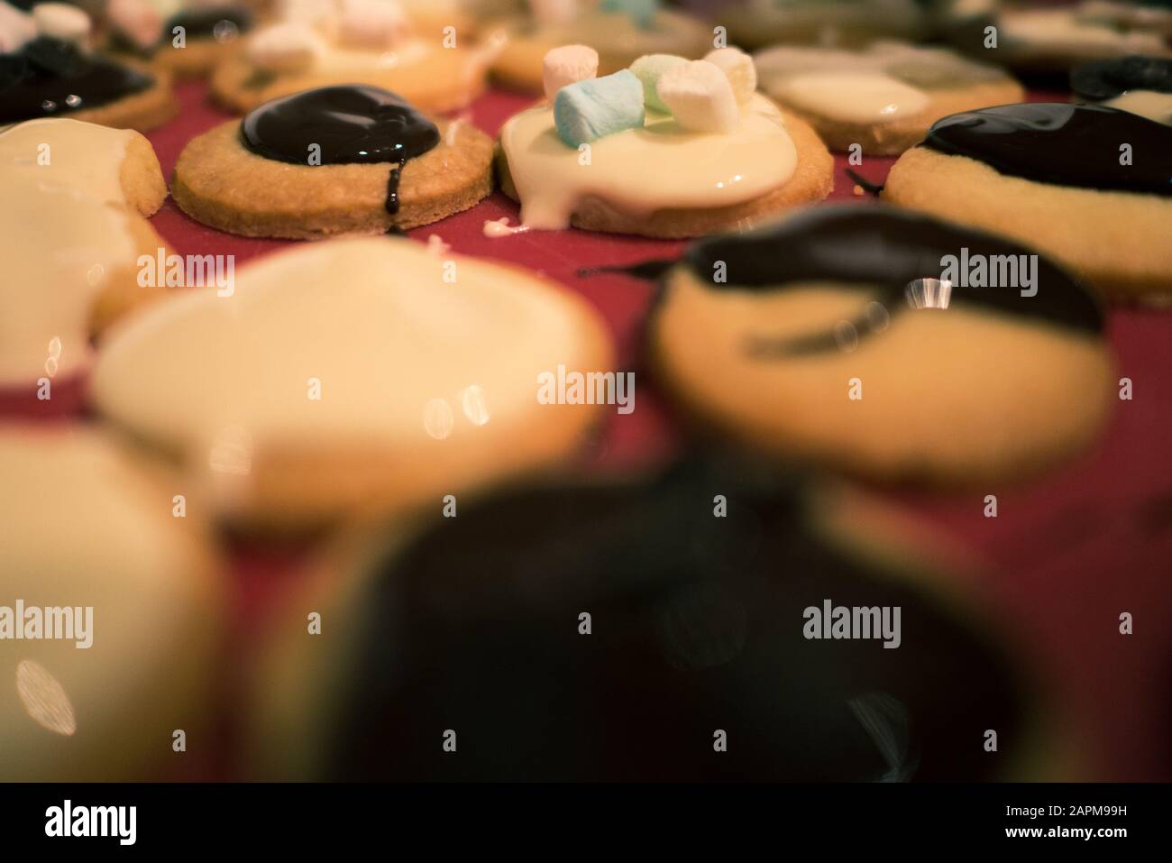 Plätzchen Backen aus Mürbeteig zur Weihnachtszeit Weihnachtsbacken Schokoladenglasur Kuvertüre Backschokolade Butterteig Gebäck Weihnachtskekse DIY Stock Photo