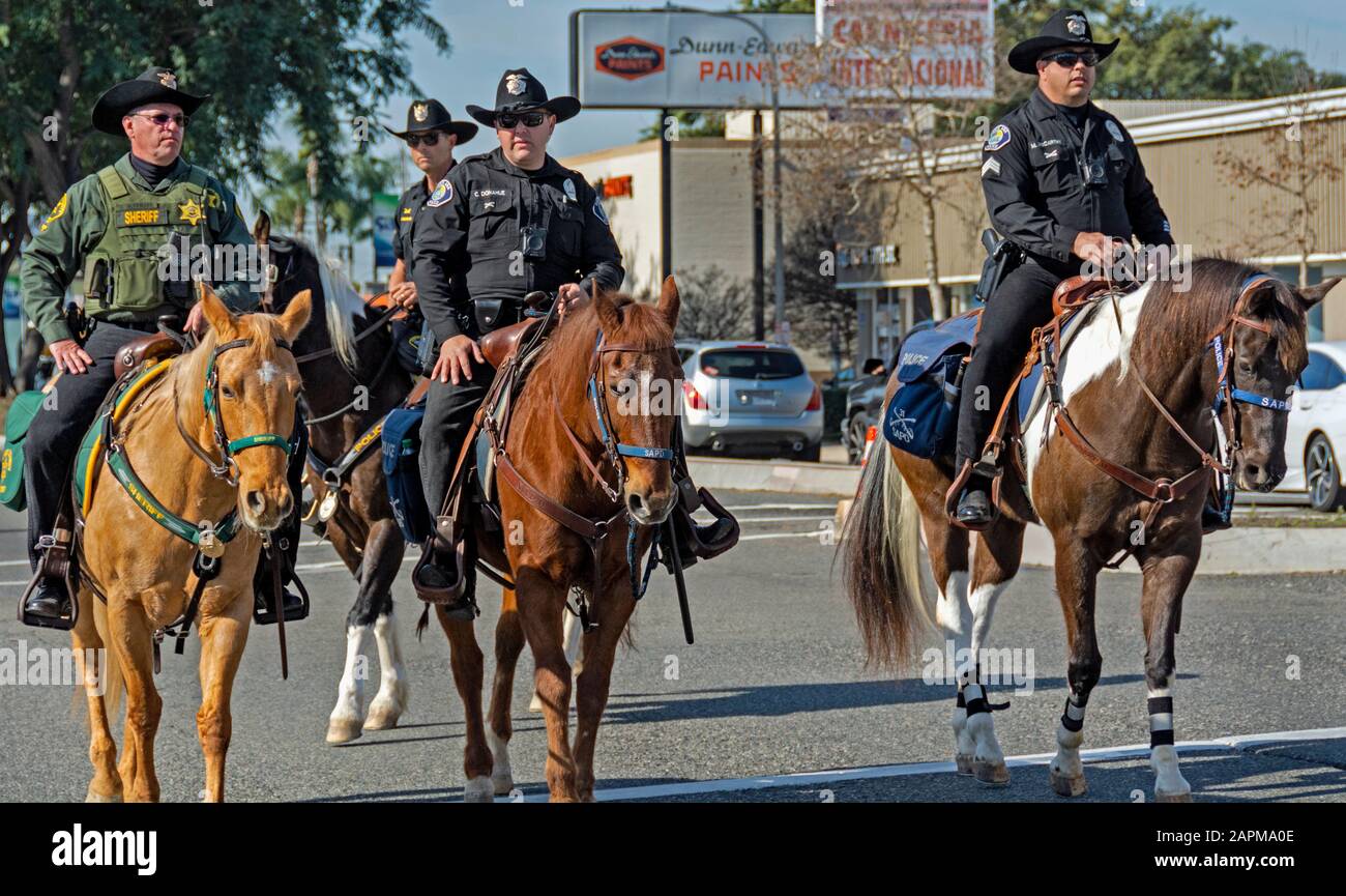 Three Santa Ana police officers and a deputy from the Orange County Sheriff's Department Mounted Enforcement Unit patrol on horseback at Women's March. Stock Photo