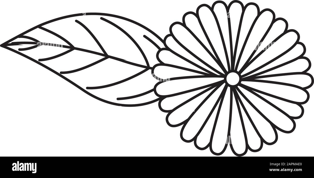 cute flower natural with leaf isolated icon Stock Vector Image & Art ...