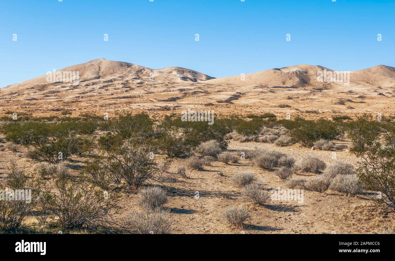 View of Mojave Desert in winter. Mojave National Preserve. California ...