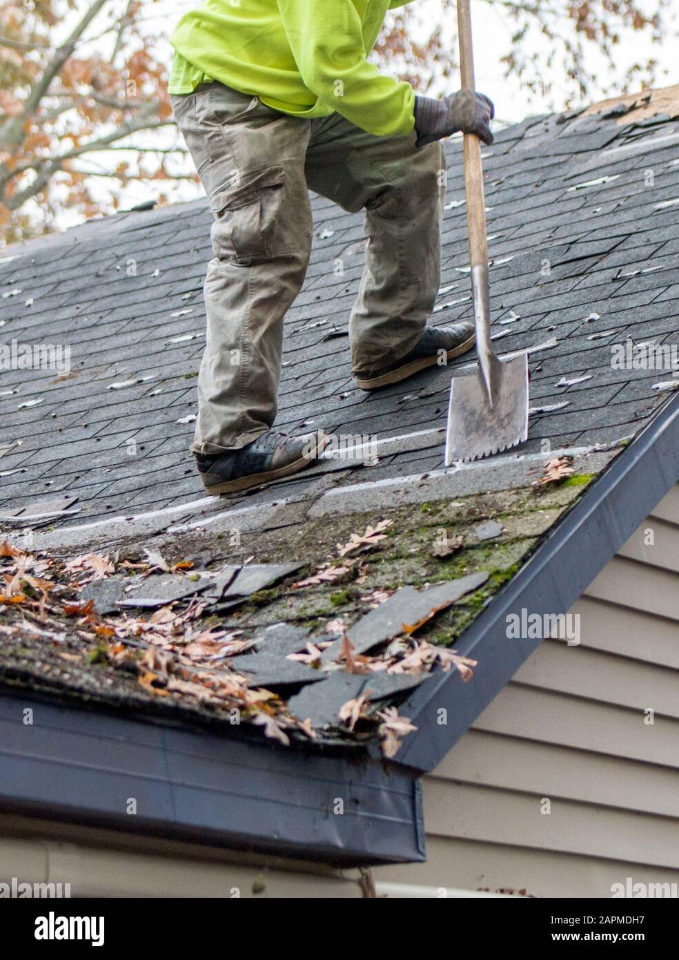 Worker on a roof top uses a special tool to remove old shingles from the roof of a home Stock