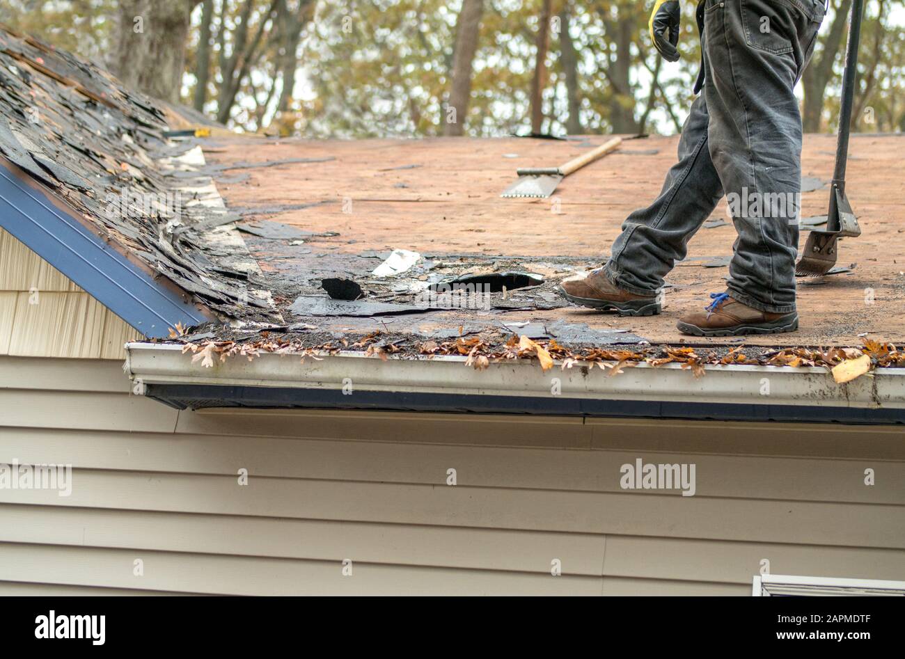 Removing old shingles hires stock photography and images Alamy