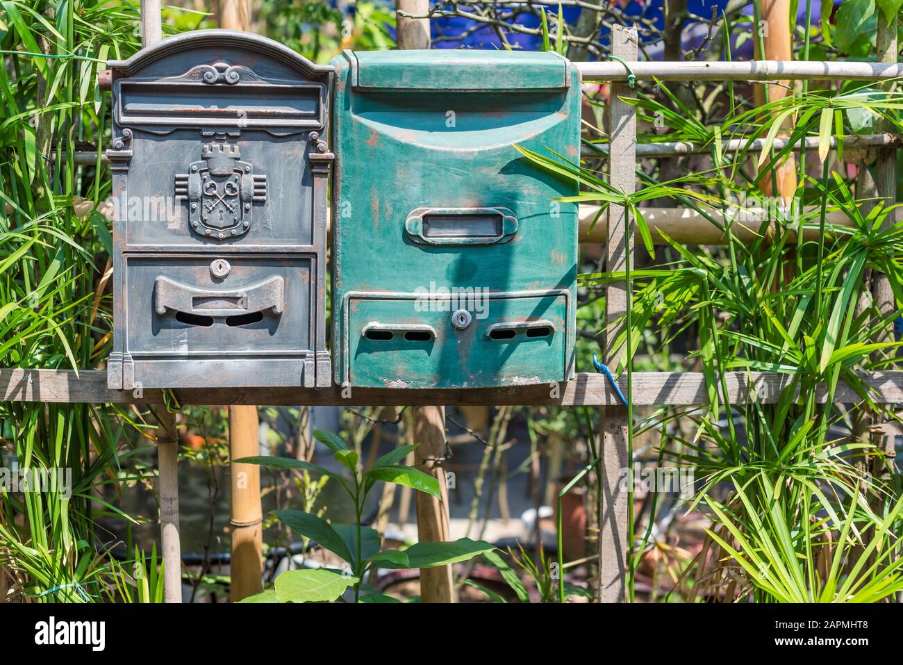 A green and a grey old mailbox on a fence against vegetation Stock Photo