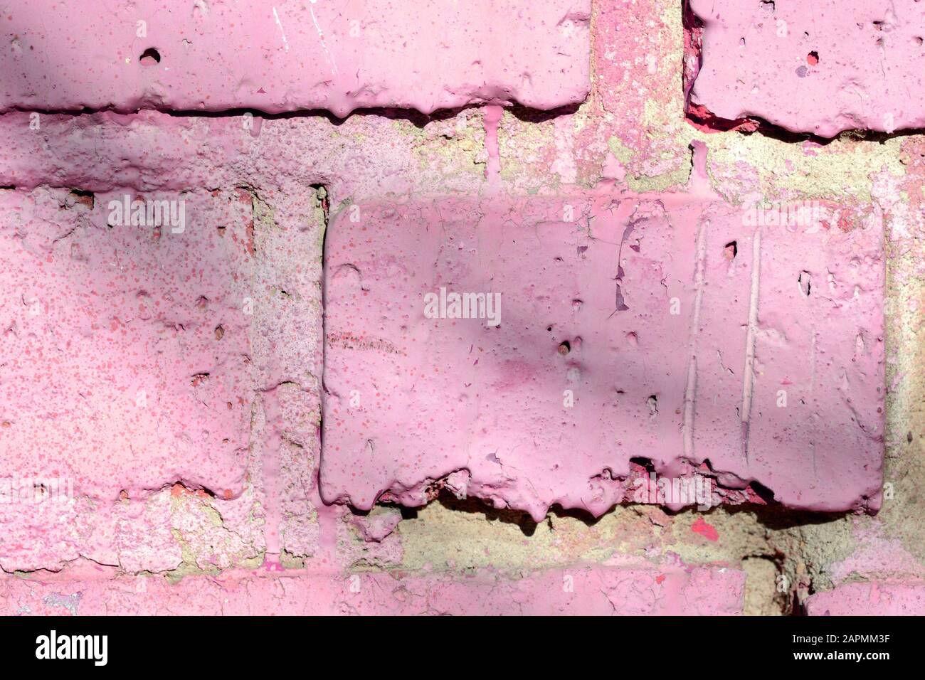 Fragment of an old brick wall painted pink paint with a shadow from tree branches on a sunny day. Abstract background Stock Photo