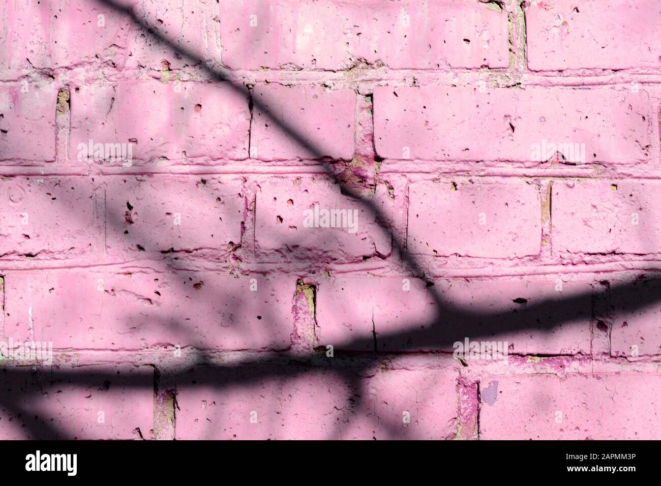 Fragment of an old brick wall painted pink paint with a shadow from tree branches on a sunny day. Abstract background Stock Photo
