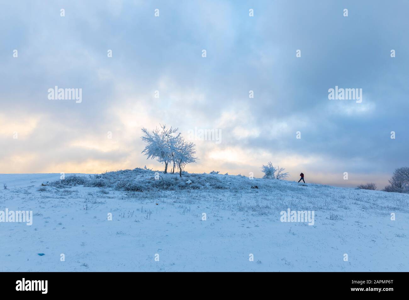Gabala, Azerbaijan - January 20, 2020: Photographer takes pictures of frozen trees Stock Photo