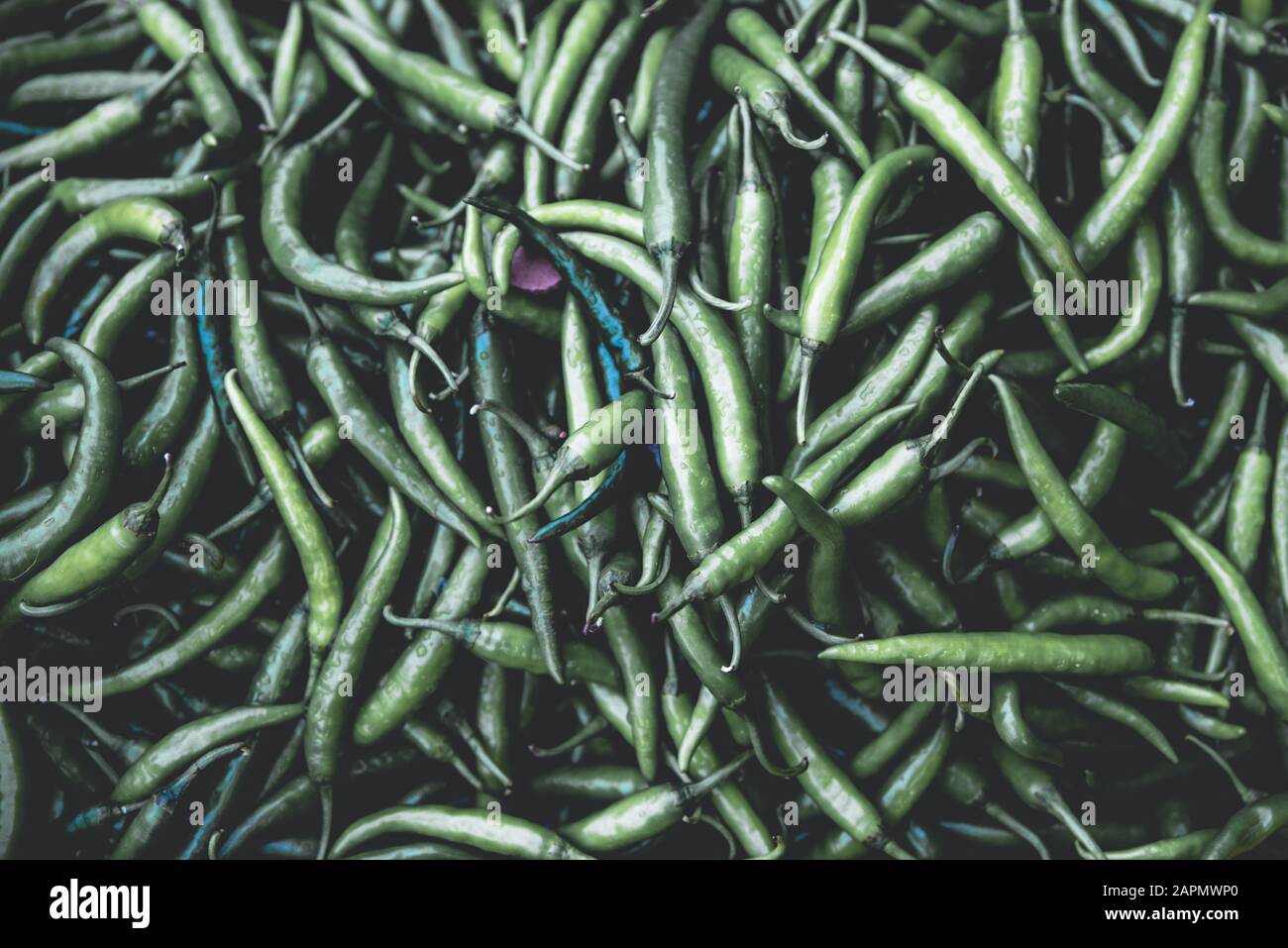 Close up of green chili peppers. Top view of raw dark green peppers at
