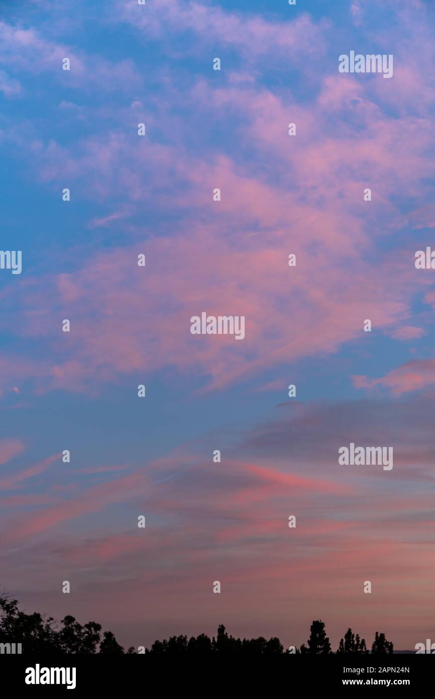 Vertical shot of pink clouds in a clear blue sky with scenery of ...