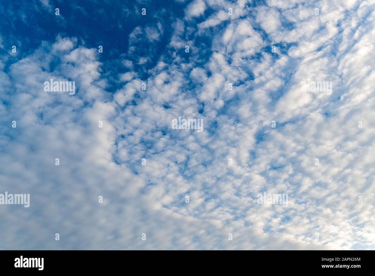 Low angle shot of white clouds in a blue sky Stock Photo - Alamy