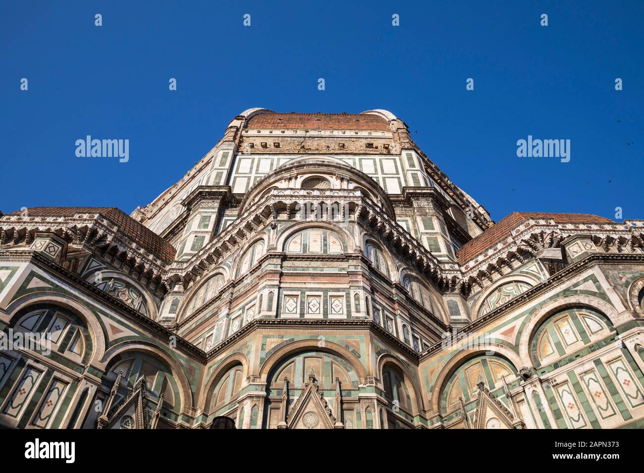 Basilica di Santa Maria del Fiore / Basilica of Saint Mary of the Flower (detail), Florence, Italy. Stock Photo