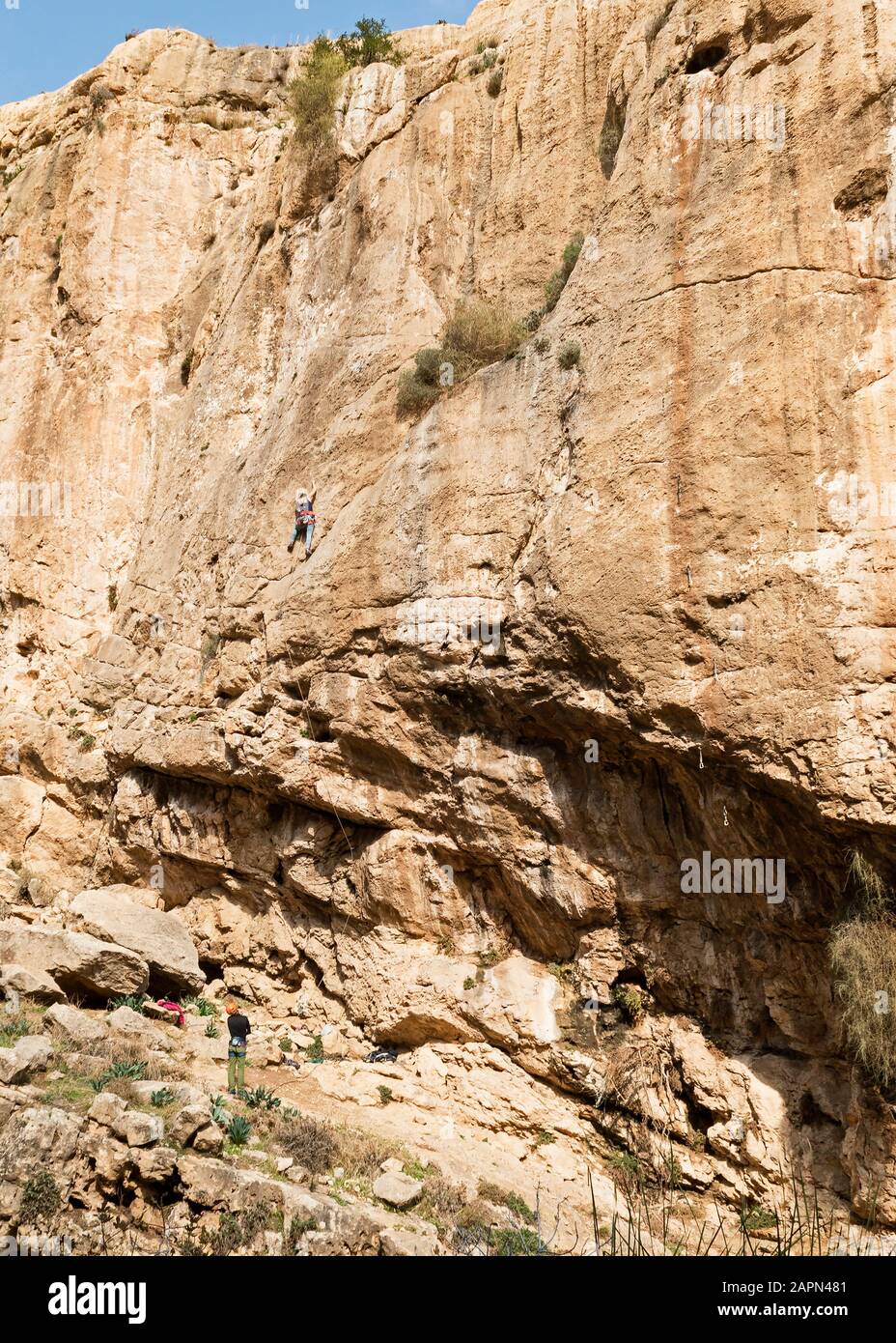 a rock climber scales a shear limestone cliff in wadi qelt near ein prat in the judaean mountains in the west bank with her belayer in the foreground Stock Photo
