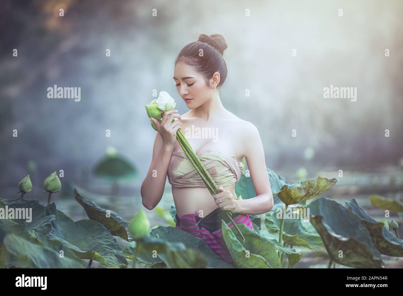 Asian woman harvest lotus flower in the garden, Thailand Stock Photo - Alamy