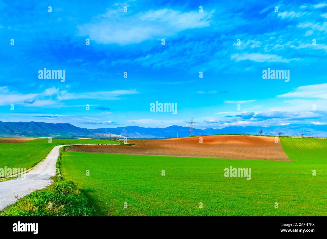 Wide rural flat valley with agricultural fields and lush green in thessalian plain. Stock Photo