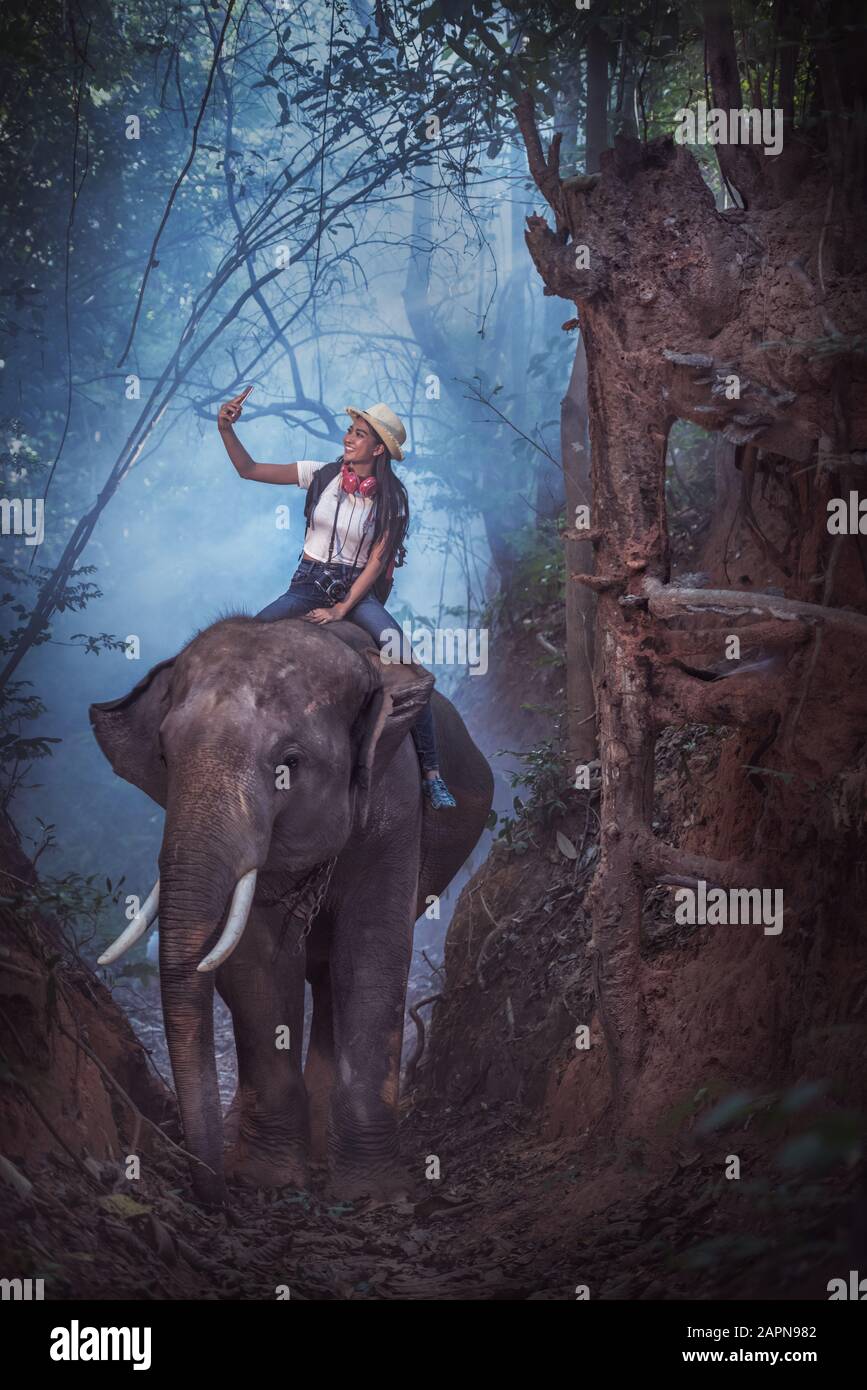 Tourist riding on elephants Trekking in Thailand Stock Photo Alamy