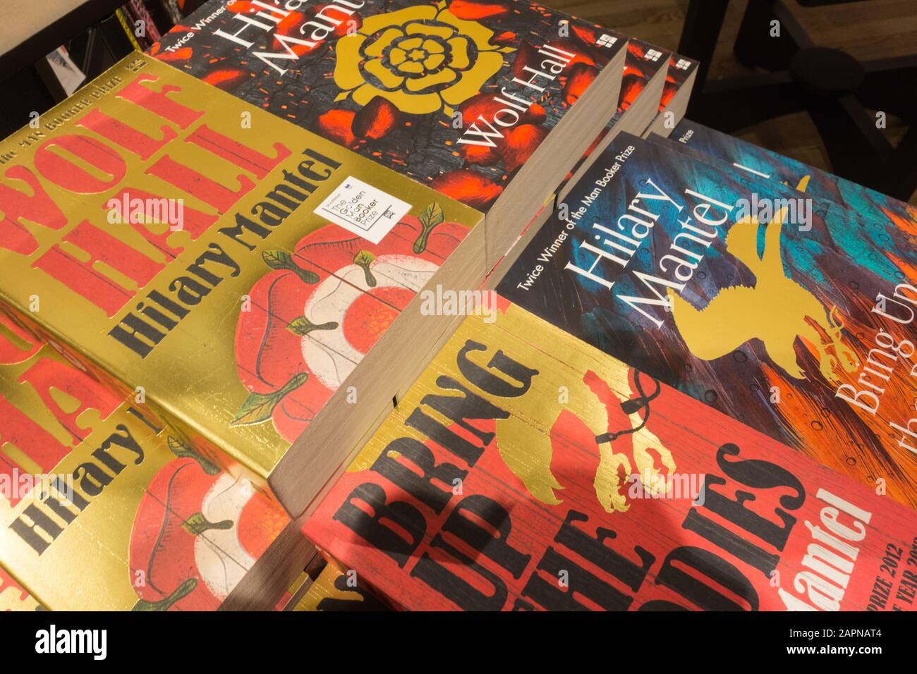 Bring Up The Bodies Book