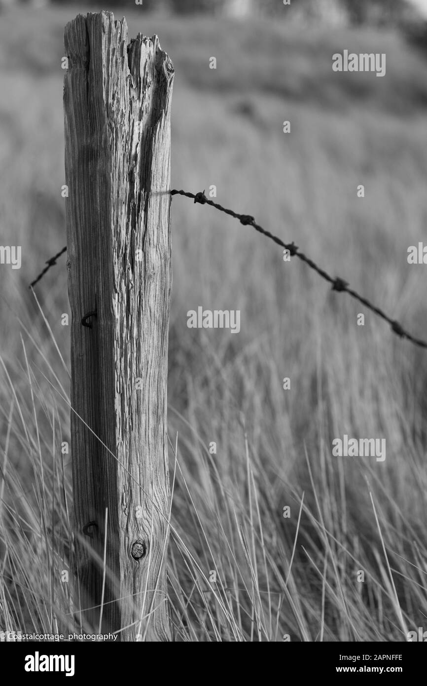 Fencing post wire Black and White Stock Photos & Images - Alamy