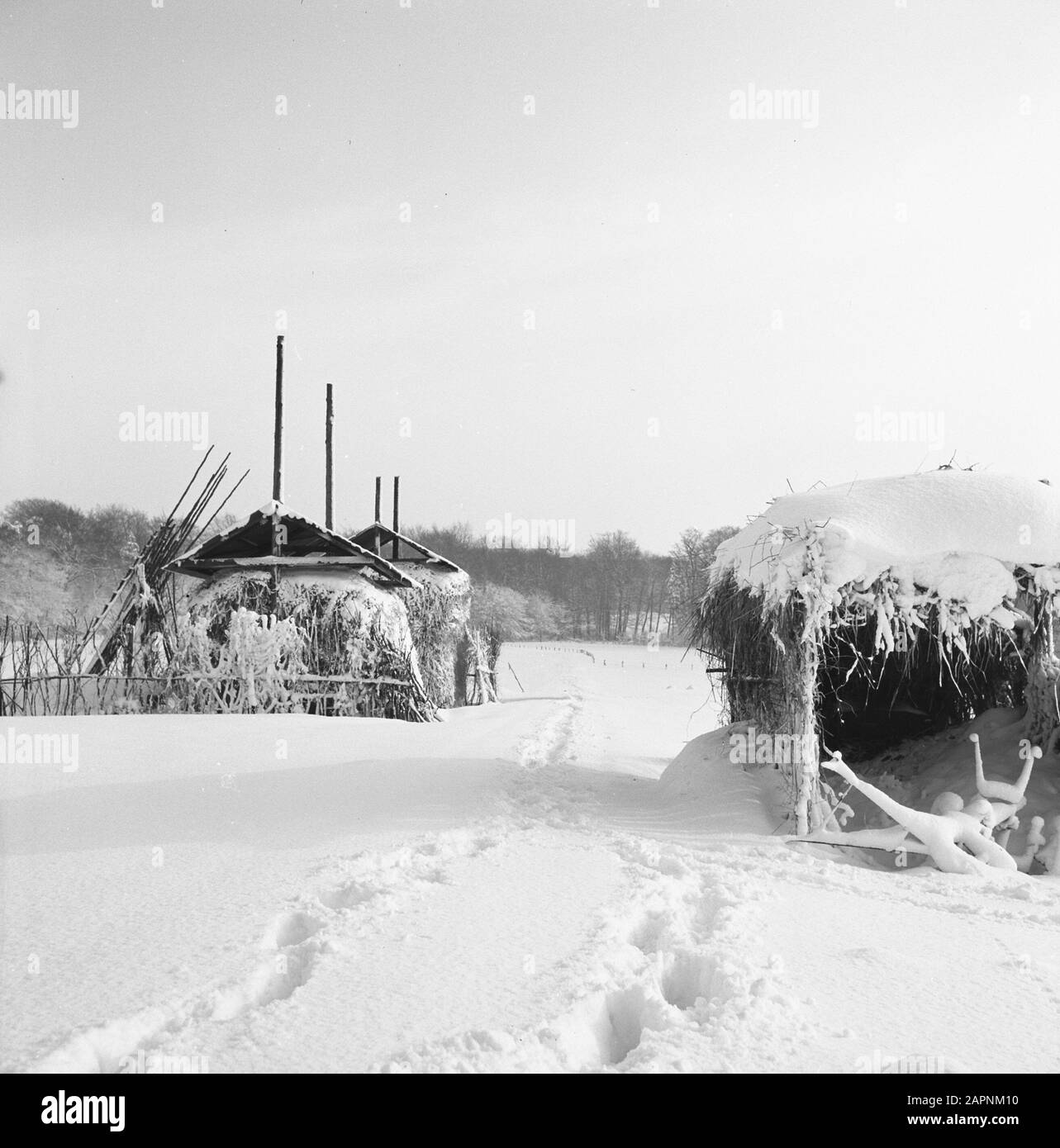 Park Zijpendaal in the winter. Hay mats under a thick snow cover Date: February 1958 Location: Arnhem Keywords: landscapes, natural beauty, parks, snow, winter, wild lands Stock Photo