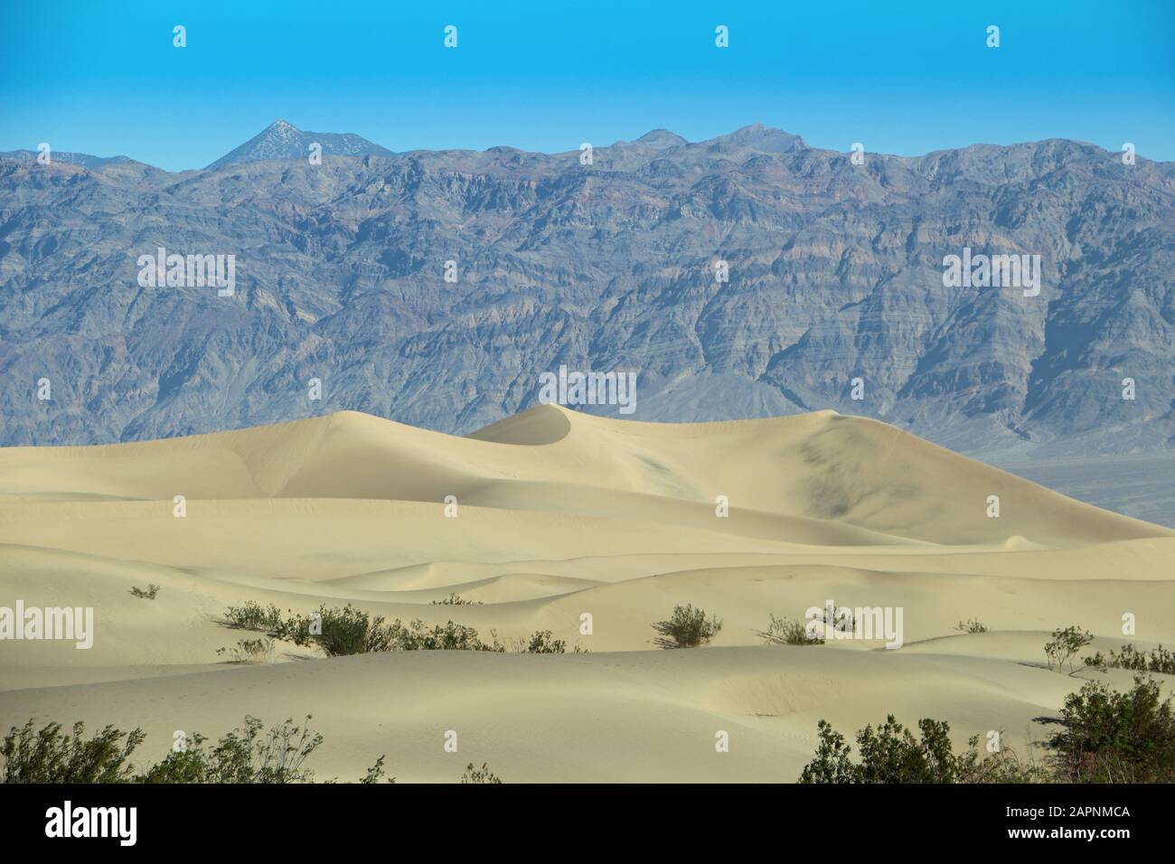 large sand dune in Death Valley NAtionalpark Stock Photo
