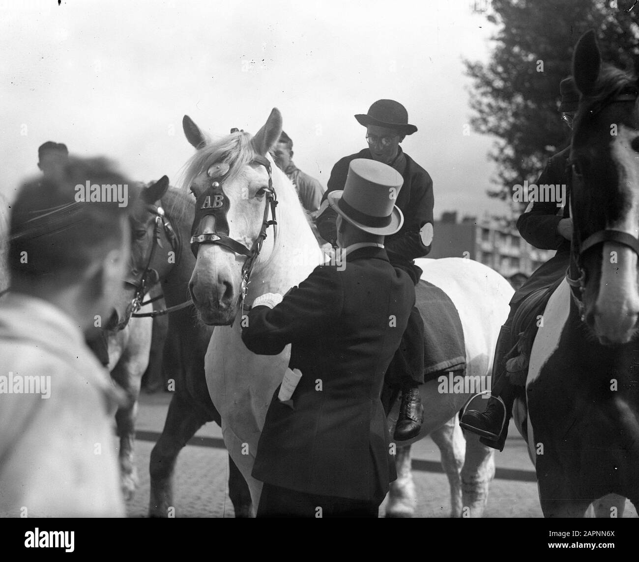 Horse parade. Overview Mint Date: June 21, 1948 Keywords: overviews ...