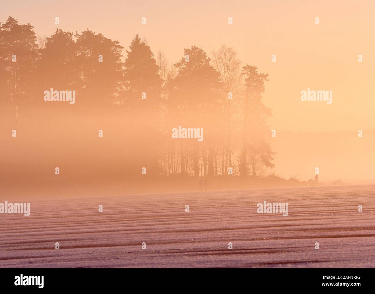 Dramatic foggy sunset landscape on frozen winter lake in Finland. Stock Photo