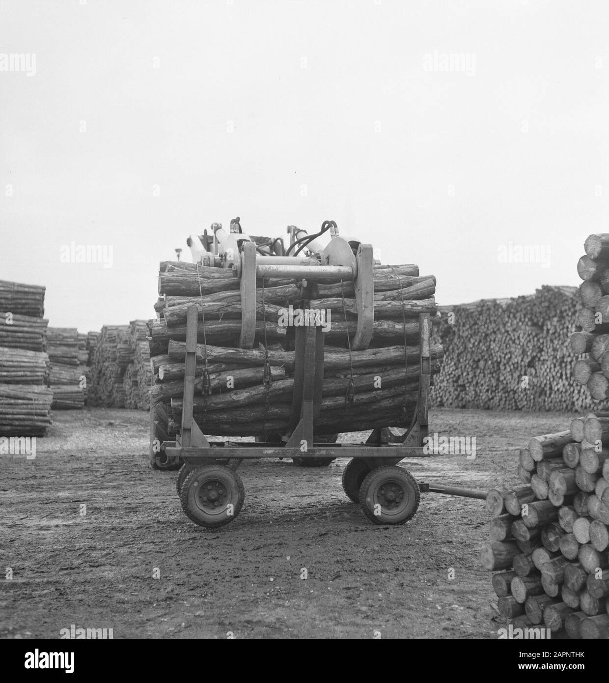 wood stores, logs, carts Date undated Keywords logs, wood stores