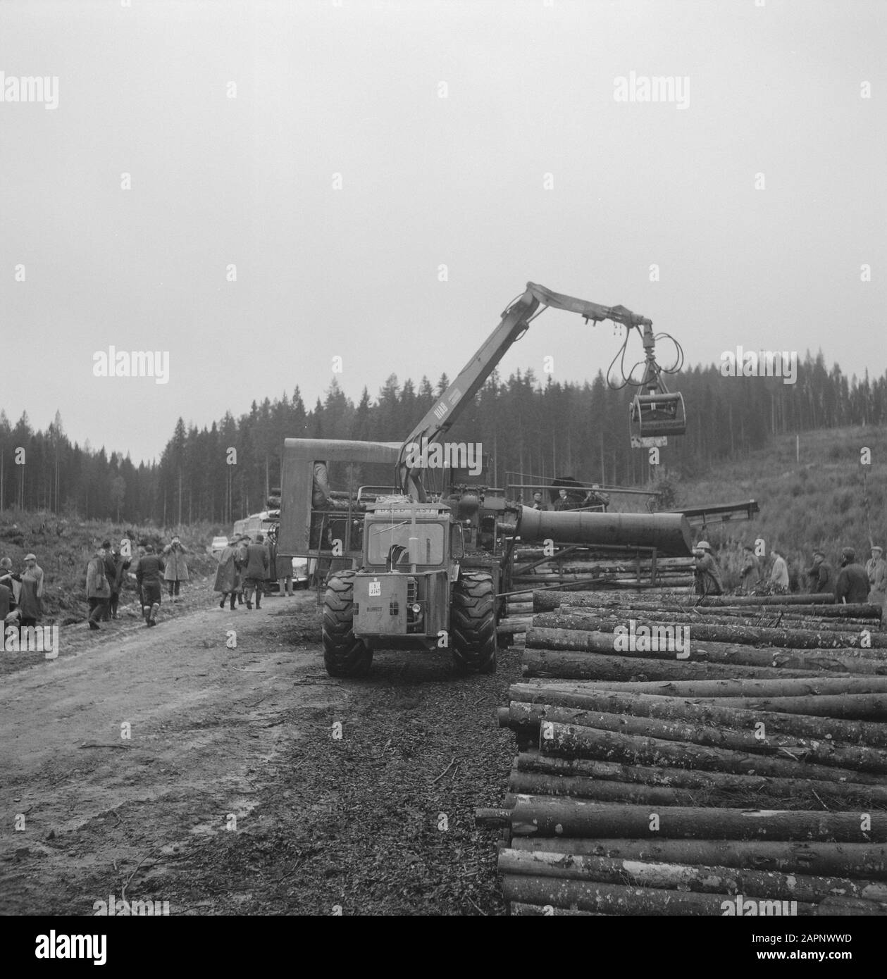wood storage, woodworking, walkers, machines, draglines Date undated